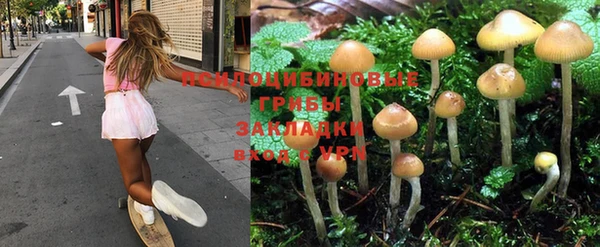 ALPHA PVP Белокуриха