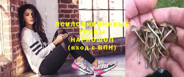 MDMA Беломорск