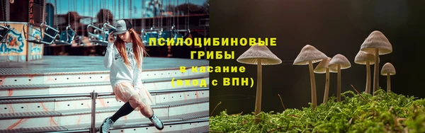 ALPHA PVP Белокуриха