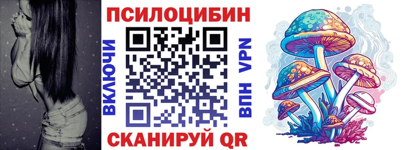 купить наркотик  Волчанск  Псилоцибиновые грибы Psilocybe 